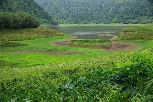 Le Grand Etang (81).JPG